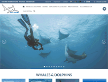 Tablet Screenshot of pico-sport.com
